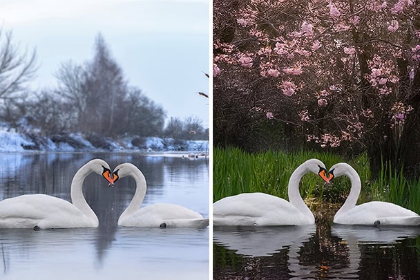 Illustration Photoshop Elements 1