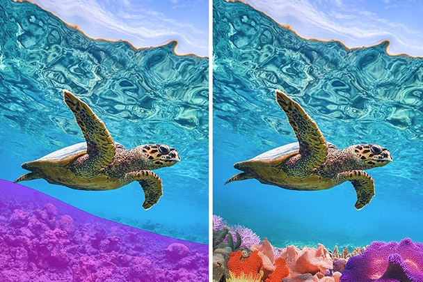 Illustration Photoshop Elements 2
