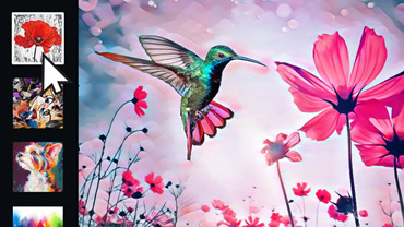 Feature illustratie