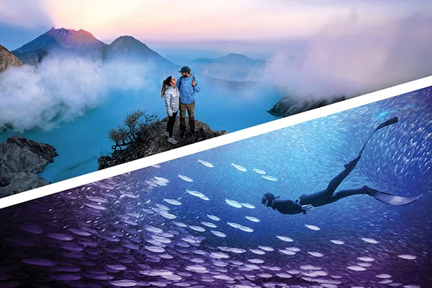 Illustration Photoshop Elements - Premiere Elements 4