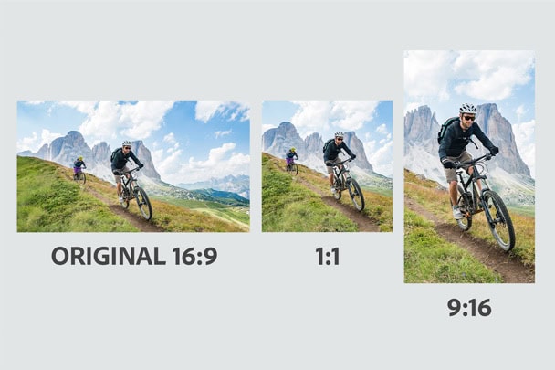 Illustration Photoshop Elements - Premiere Elements 6