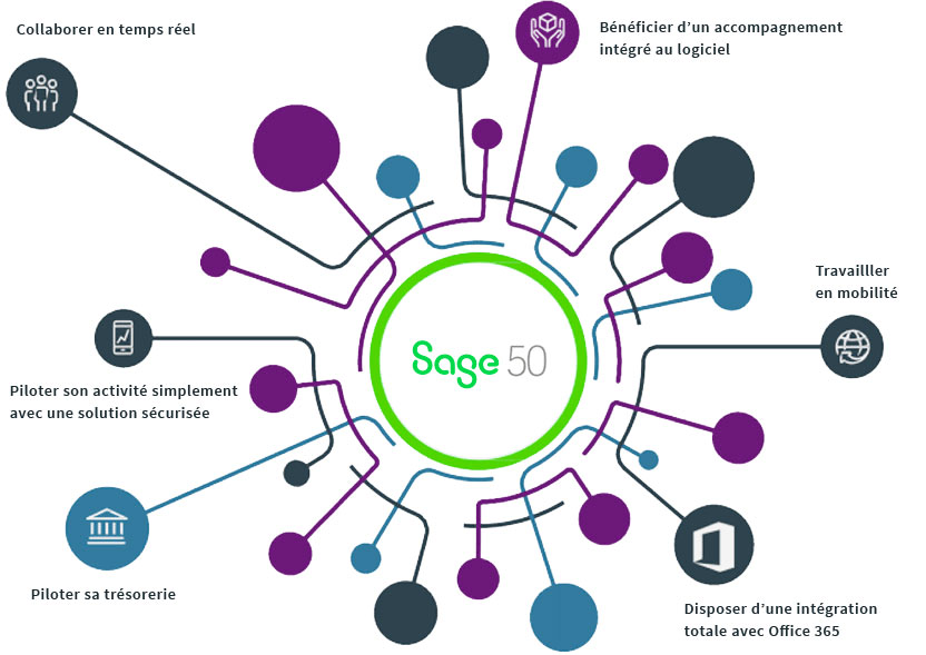 Illutration Sage 50 schema